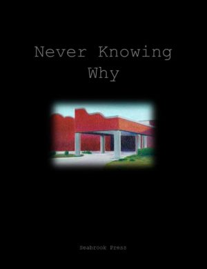  Never Knowing Why